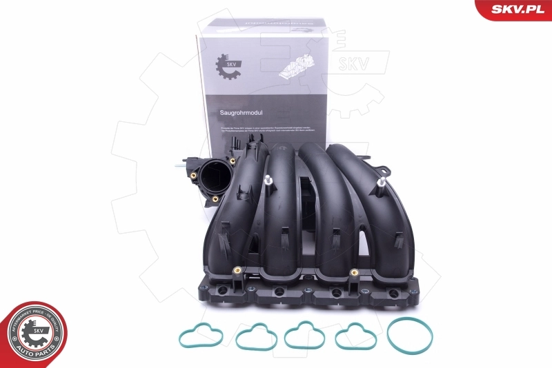Intake Manifold Module